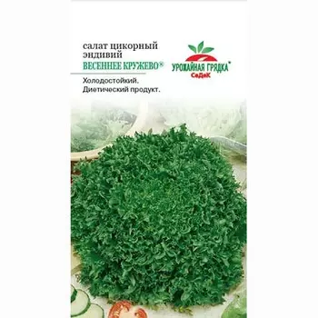 Салат эндивий Весеннее кружево Седек