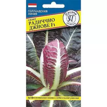 Салат цикорный Радиччио Джиове F1 Престиж