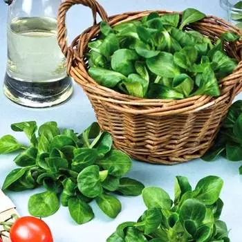 Салат Дукат