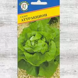 Салат кочанный Аттракцион