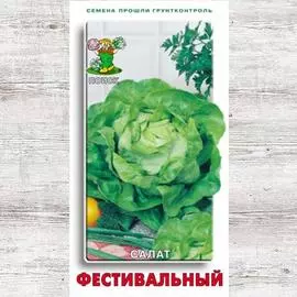 Салат кочанный Фестивальный