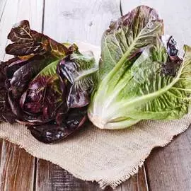 Салат мини ромейн Мунред