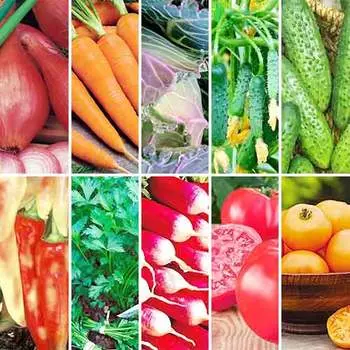 Суперпредложение! Набор семян Салатная грядка из 10 упаковок