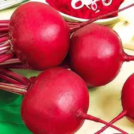 Свекла столовая Беттолло F1