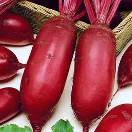 Свекла столовая Родена F1