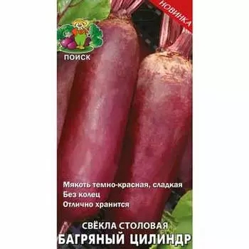 Свекла столовая Багряный цилиндр Поиск