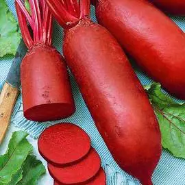 Свекла столовая Генеральская