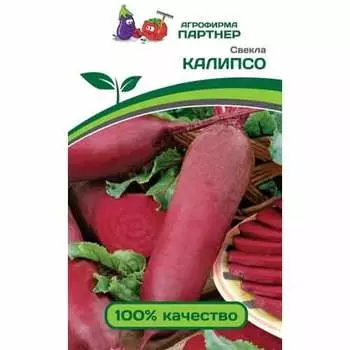 Свекла столовая Калипсо Партнер