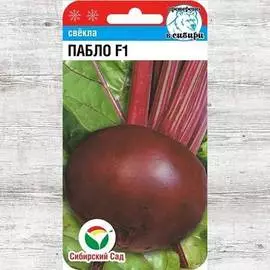 Свекла столовая Пабло F1