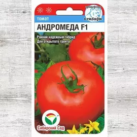 Томат Андромеда F1