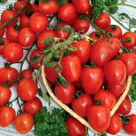 Томат Черри клубничный F1