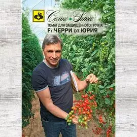 Томат Черри от Юрия F1