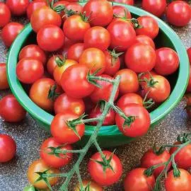 Томат Черри Требус F1