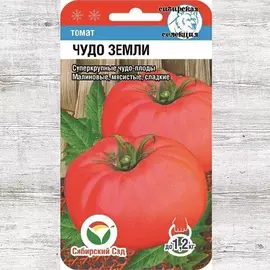 Томат Чудо земли