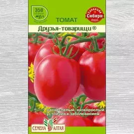Томат Друзья-товарищи