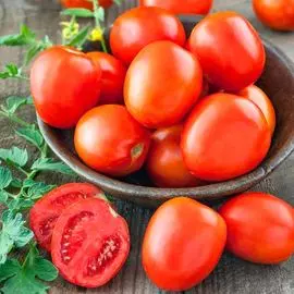 Томат Финик красный F1