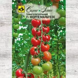 Томат Форте Мальтезе F1