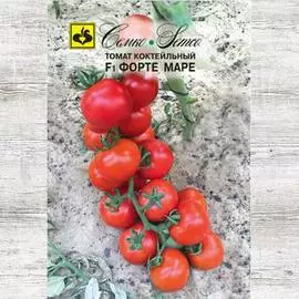 Томат Форте Маре F1