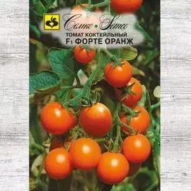 Томат Форте Оранж F1