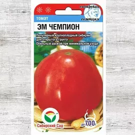 Томат Эм Чемпион