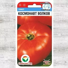 Томат Космонавт Волков