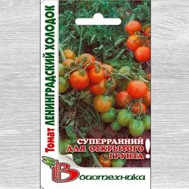 Томат Ленинградский холодок