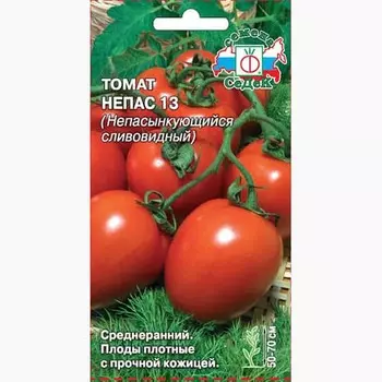 Томат Непас 13 Непасынкующийся сливовидный Седек