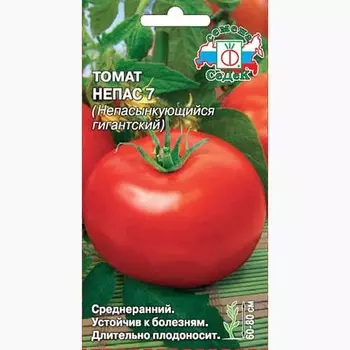 Томат Непас 7 Непасынкующийся гигантский Седек
