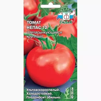 Томат Непасынкующийся крупный Седек