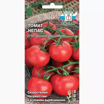 Томат Непасынкующийся Седек