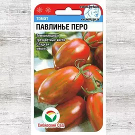 Томат Павлинье перо