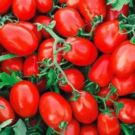 Томат Пламя F1