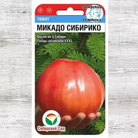 Томат Сибирико Микадо