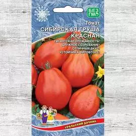 Томат Сибирская груша красная