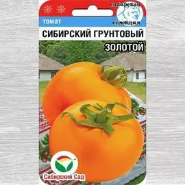 Томат Сибирский грунтовый золотой