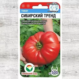 Томат Сибирский тренд