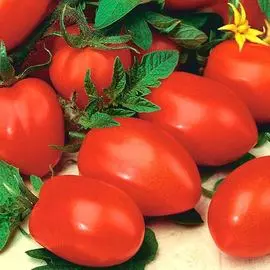 Томат Яшма F1