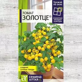 Томат Золотце