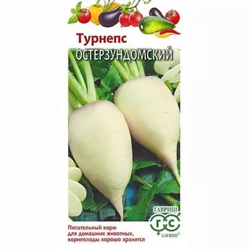 Турнепс Остерзундомский Гавриш