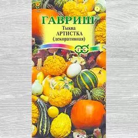 Тыква декоративная Артистка, смесь окрасок