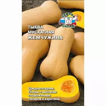 Тыква мускатная Жемчужина Седек