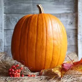 Тыква Русский деликатес