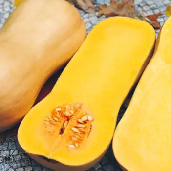 Тыква Страдивари