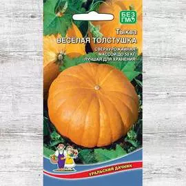 Тыква Веселая толстушка