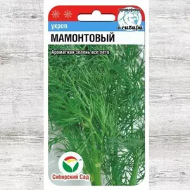 Укроп Мамонтовый