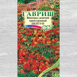 Виноград девичий триостренный Нептун