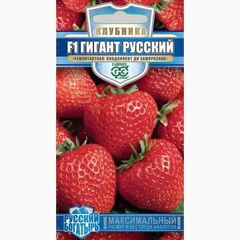 Земляника (клубника) Гигант русский Гавриш