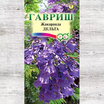 Жакаранда Дельта Гавриш