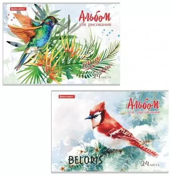 Альбом для рисования А4 24 листов "Райские птички"
