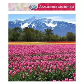 Алмазная мозаика без подрамника, частичное заполнение «Горный пейзаж» 40×50 см
